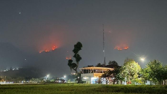 Gunung Guntur di Kabupaten Garut, Jawa Barat alami kebakaran, titik api terpantau di sejumlah titik, Selasa (20/8/2024).