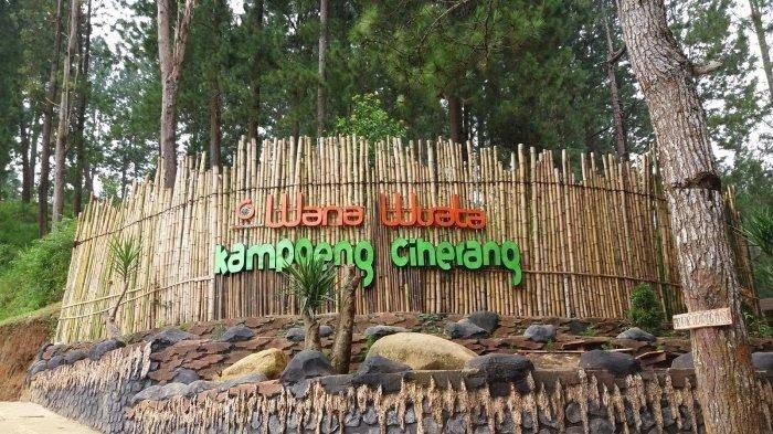 Kampoeng Ciherang