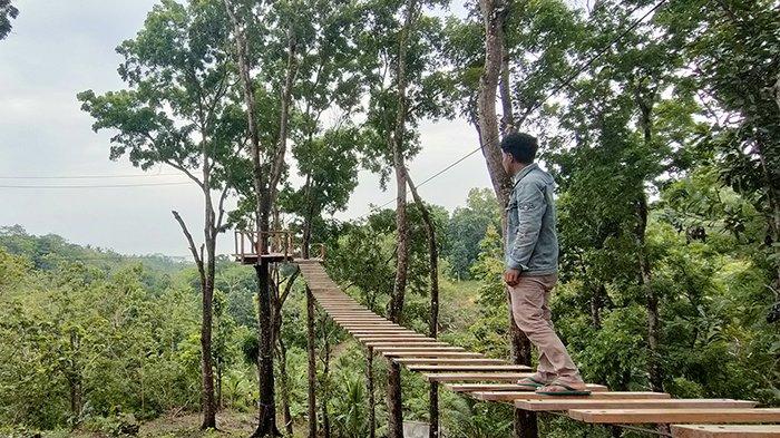 Karinjing Forest di Desa Bagolo Kecamatan Kalipucang Kabupaten Pangandaran yang masih dalam penataan