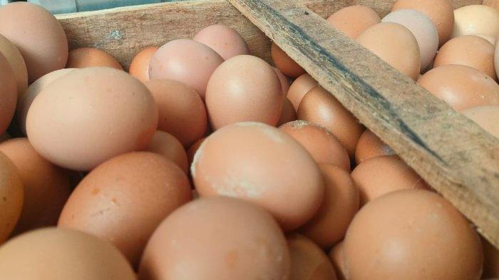 Telur-telur yang berada di toko kelontongan Dedih Ramdan di Padaherang Kabupaten Pangandaran