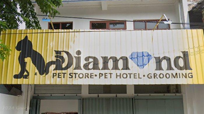 Diamond Petstore