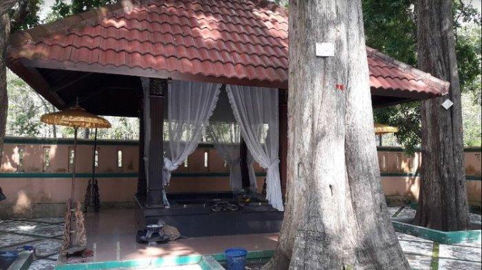 HUTAN JATI DONOLOYO - Foto Hutan Jati Donoloyo di Wonogiri yang memiliki ratusan pohon jati beberapa tahun silam. Di sini ada mitos terkenal sehingga tak sembarang orang berani menebang atau mengambil kayu. (Dok. PEMKAB WONOGIRI)