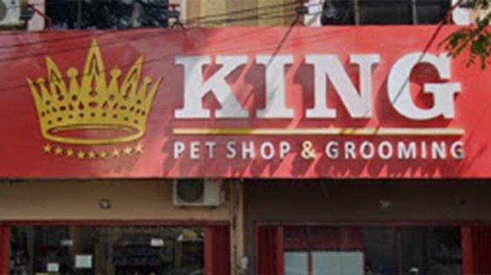 King Pet Shop & Grooming