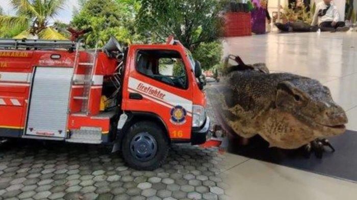 KISAH UNIK PEMADAM. Kolase mobil pemadam kebakaran (Kiri) dan biawak (Kanan). Kepala Seksi (Kasi) Pemadam Kebakaran dan Penyelamatan Sarana dan Prasarana Kabupaten Karanganyar, Efan Riswaya menceritakan beberapa kisah menarik yang pernah dialami dirinya dan rekan-rekan di Karanganyar terkait tugas penyelamatan yang diemban. (Tribun Solo/Istimewa)
