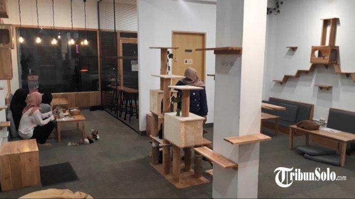 Suasana Paw Paw Cafe, Jalan Ronggowarsito nomor 42, Kelurahan Kampung Baru, Kecamatan Pasar Kliwon, Kota Solo.