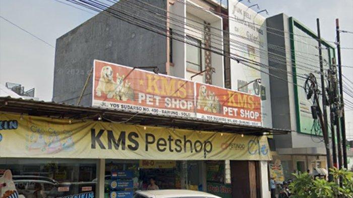 Pet Shop KMS Solo