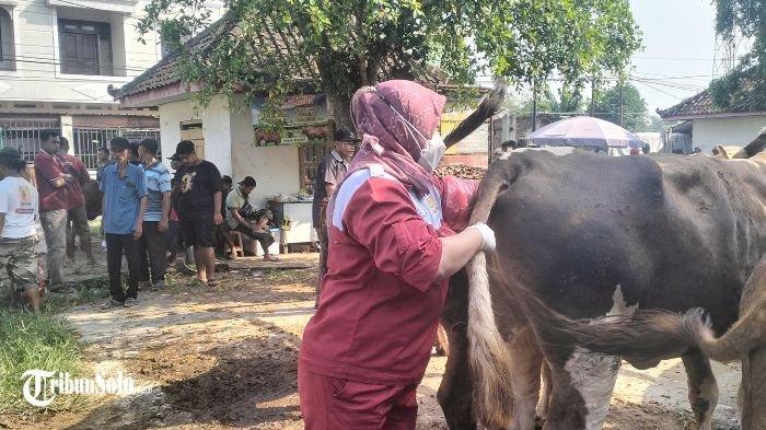 TEMUAN PMK - Petugas Peternakan dan Kesehatan Hewan Distanakan Sukoharjo sedang melakukan pemantauan di pasar hewan. Menjelang Hari Raya Idul Adha 1446 Hijriah, Dinas Pertanian dan Perikanan (Distanakan) Kabupaten Sukoharjo mencatat adanya kasus Penyakit Mulut dan Kuku (PMK) yang menyerang hewan ternak, khususnya sapi.