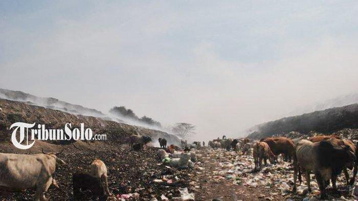 TPA PUTRI CEMPO - Suasana Tempat Pembuangan Akhir (TPA) Putri Cempo, beberapa waktu lalu. Saat ini PSEL Putri Cempo baru bisa mengolah sekitar 100 ton dari target 545 ton per hari.