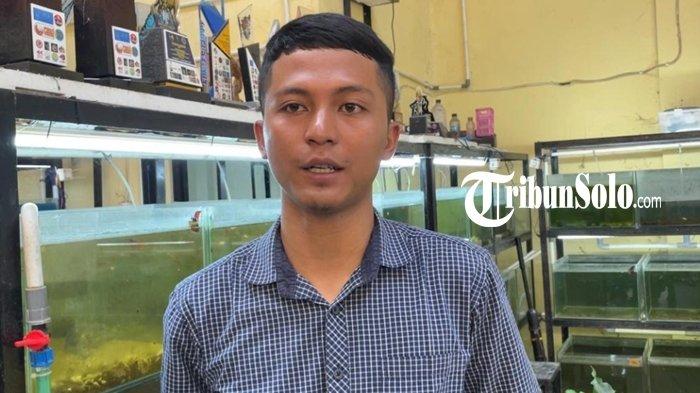 PEMILIK BUDIDAY IKAN GUPPY DI SOLO - Vendi Galih (22) pemilik Yusuf Guppy Farm di Solo yang kini berpenghasilan capai puluhan juta per bulan dari hasil budidaya ikan hias.