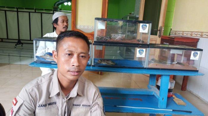 Pembina Exalos Indonesia, Janu Wahyu Widodo yang menaklukkan 31 anak ular kobra Jawa yang ditemukan di Masjid At Taqwa di Perumahan Griya Adi, Desa Palur, Kecamatan Mojolaban, Sukoharjo, Selasa (17/12/2019).