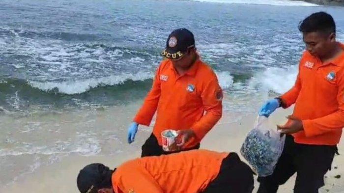 Petugas Satlinmas Rescue Istimewa Wilayah Operasi II Pantai Baron melakukan pembersihan ubur-ubur di Pantai selatan Gunungkidul. Minggu (3/9/2023)