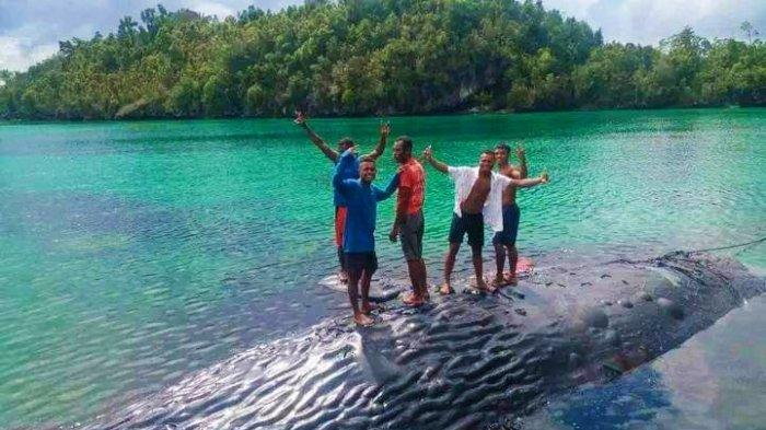 Sejumlah warga berfoto di atas bangkai paus di perairan pantai Kampung Tomolol Misool Timur Kabupaten Raja Ampat.