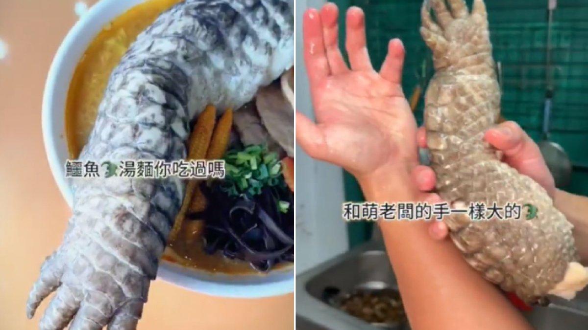 Godzilla Ramen di Taiwan yang viral, menyajikan potongan kaki buaya yang direbus.