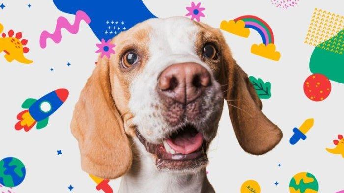 Ilustrasi Anjing.
