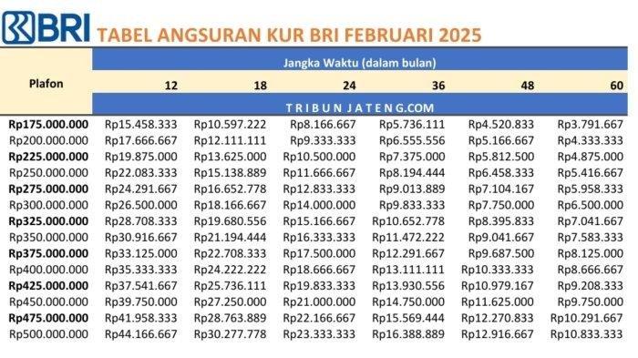 TABEL KUR BRI - Tabel pinjaman KUR BRI 2025 Rp 175 Juta - 500 Juta periode Februari 2025.