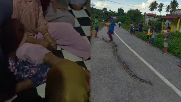 REMAJA DIGIGIT ULAR - Seorang remaja putri bernama Aprilia (15), warga di Desa Komba-komba, Kecamatan Kabangka, Kabupaten Muna, Provinsi Sulawesi Tenggara (Sultra) hampir dimangsa ular piton, Senin (12/5/2025) kemarin. (Istimewa)