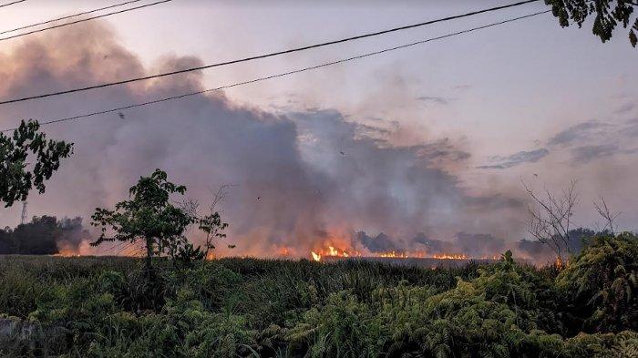 Dinas Pemadam Kebakaran atau Damkar Kota Kendari melaporkan sebanyak 8 insiden kebakaran lahan terjadi hari ini, Sabtu (28/10/2023) di Kota Kendari, Sulawesi Tenggara.