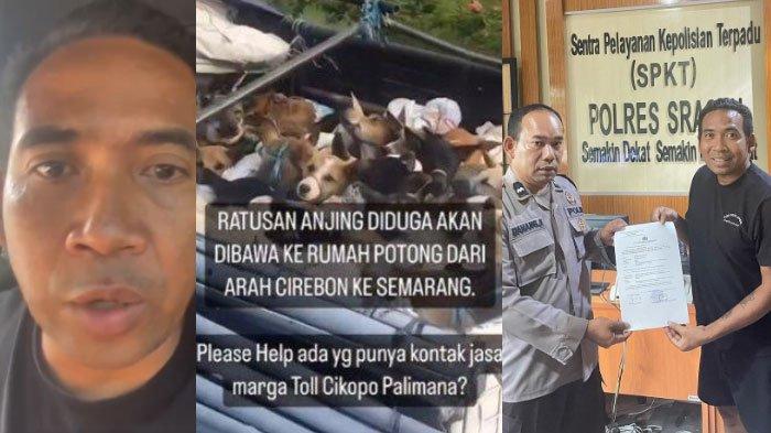 Curhat Aktivis Binatang Melarikan Diri Usai Penyamaran Dibongkar Tukang Jagal Anjing, Wajah Disebar