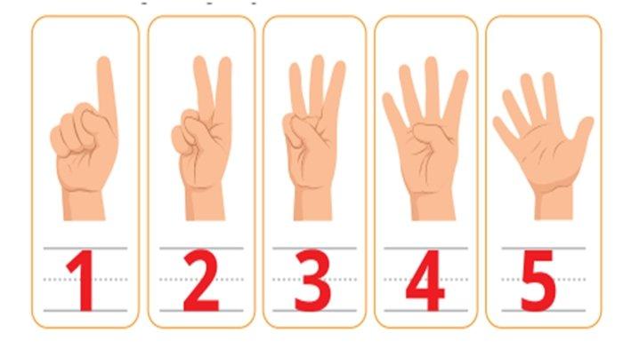 Jawaban nomor 2 Ayo Berlatih Halaman 13 Matematika keas 1 SD/MI (a).