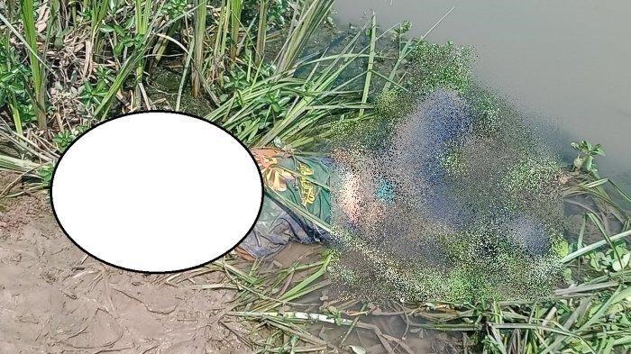 Jenazah Muhamad Rauf warga Subang ketika ditemukan di Sungai Bugis, Desa Sukatani, Kecamatan Anjatan, Kabupaten Indramayu, Rabu (4/10/2023).