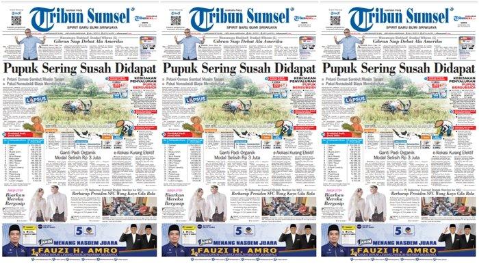 Liputan khusus Tribun Sumsel, pupuk sering susah didapat sehingga petani cemas sambut musim tanam. Jika pakai pupuk nonsubsidi biaya membengkak.