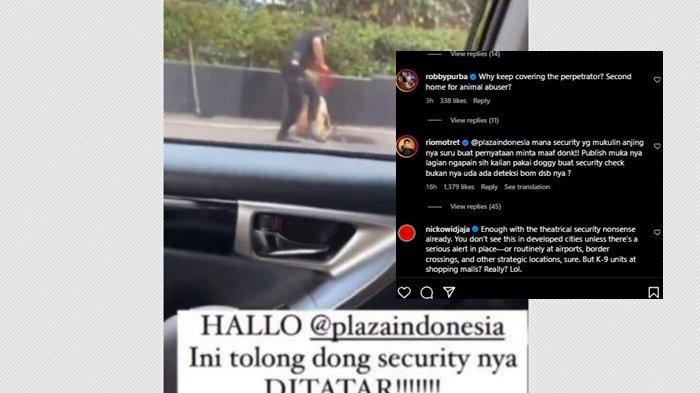 Para artis bereaksi murka atas tindakan kekerasan yang dilakukan oknum sekuriti Plaza Indonesia kepada anjing berjenis kelamin betina bernama Fay