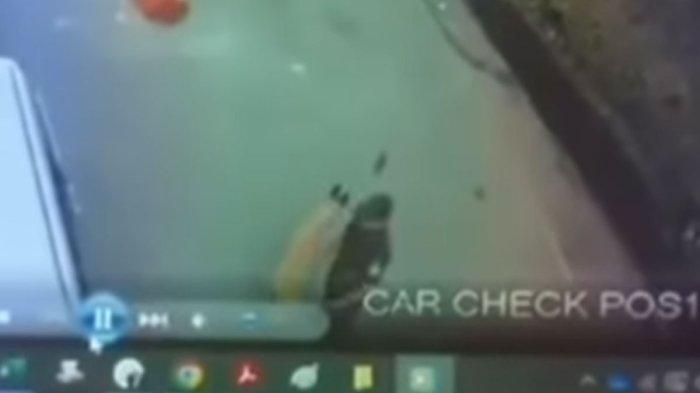 Penyebab Oknum Sekuriti Pukul Anjing Penjaga Mal Plaza Indonesia, Cegah Anjing Serang Anak Kucing