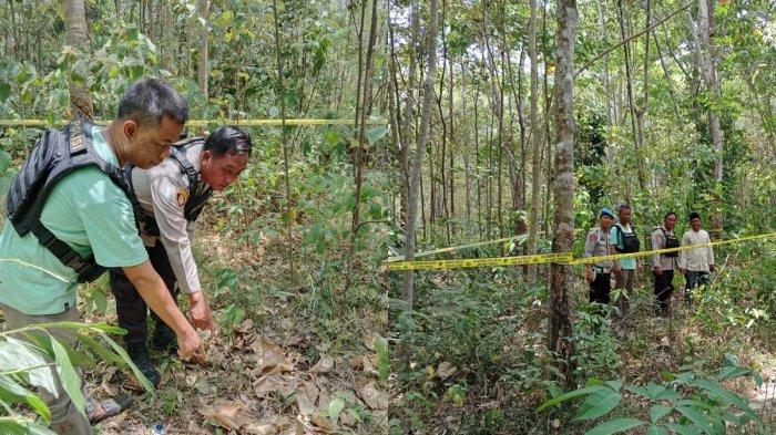 Personil Polsek Muara Lakitan saat melakukan olah TKP tewasnya ibu hamil di kebun karet di Desa Tri Anggun Jaya Kecamatan Muara Lakitan, Musi Rawas.