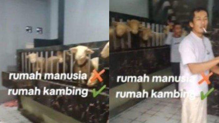 Pria bangun rumah mewah jadi kandang domba di Banjarnegara, Jawa Tengah