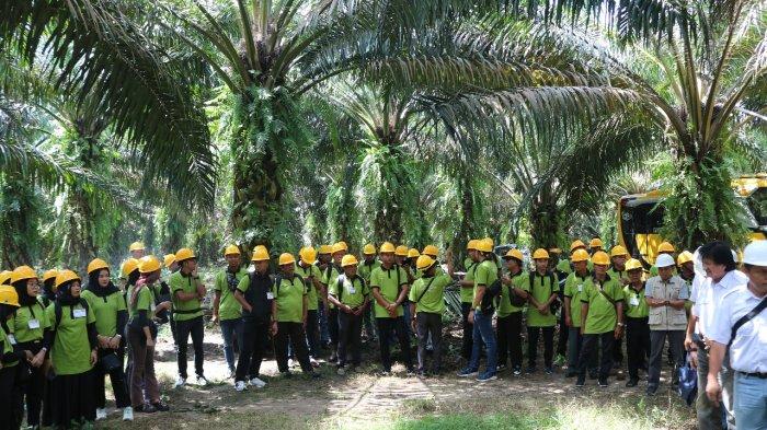 BPDP & DITJENBUN terus melakukan upaya intensif meningkatkan kompetensi pekebun sawit berupa pelatihan-pelatihan yang pelaksanaanya di kerjasamakan dengan lembaga professional antara lain BEST PLANTER INDONESIA (BPI).