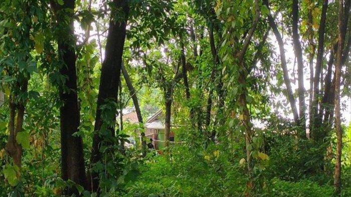 Rumah nenek Pegi alias Perong di Blok Simaja, Desa Kepompongan, Kecamatan Talun, Kabupaten Cirebon kini didatangi polisi, Rabu (22/5/2024).