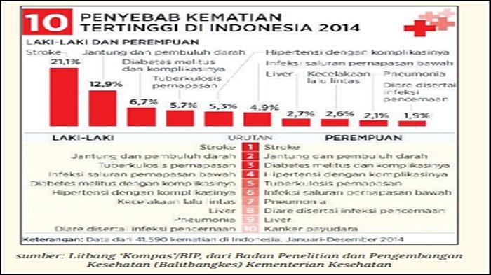 Soal Biologi Kelas 11 Halaman 131 Kurikulum Merdeka.