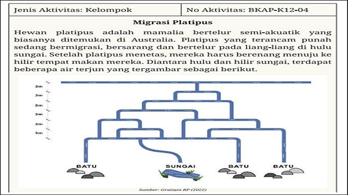Soal Informatika Kelas 12 Halaman 61 Kurikulum Mereka, Ayo Berlatih: Migrasi Platipus.