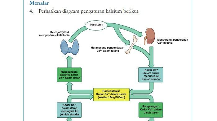 Soal No. 4 IPA Kelas 9 Halaman 48-49 Kurikulum Merdeka (Gambar selengkapnya bisa dilihat pada buku paket), Sumber: buku.kemdikbud.go.id