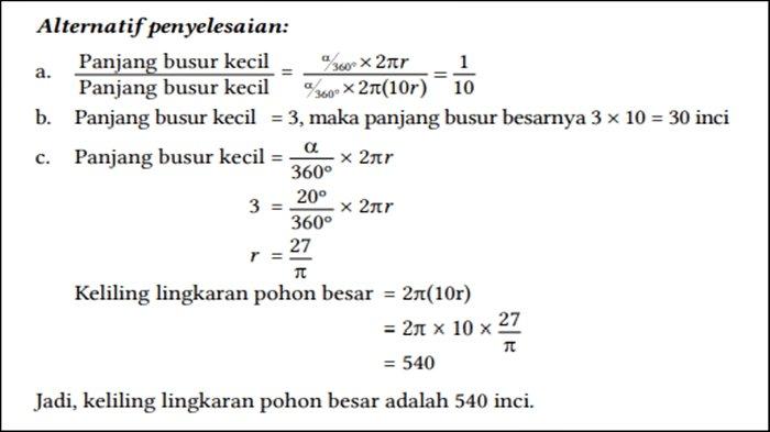 Soal dan kunci jawaban nomor 7 Matematika Kelas 12 Halaman 65 66 67 Kurikulum Merdeka.