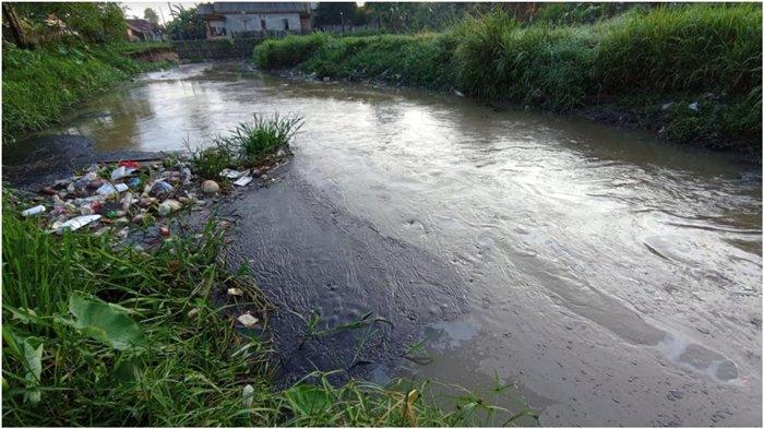 Wali kota Prabumulih Ir H Ridho Yahya MM akan melayangkan surat ke Pertamina pusat juga SKK Migas terkait Sungai Kelekar tercemar tumpahan minyak. Tampak genangan minyak di Sungai Kelekar Prabumulih, Senin (10/7/2023).