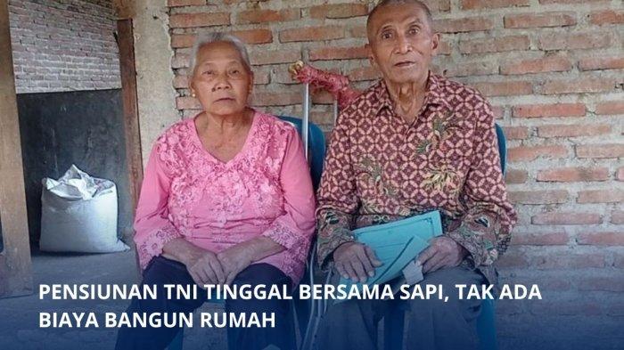 Veteran Serojo, Sudarno (77) kini bernasib pilu tinggal serumah bersama sapi peliharaannya karena tidak memiliki biaya untuk melanjutkan pembangunan rumahnya.