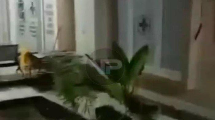Viral Warga di Prabumulih Harus Melahirkan di Dalam Mobil Karena Puskemas yang Didatanginya Tutup