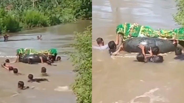 Viral di media sosial video momen pilu saat sejumlah warga terpaksa berenang menyebrangi sungai untuk membawa jenazah yang akan dimakamkan.