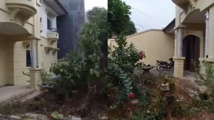 halaman rumah Ibu Eny dan Tiko kembali dipenuhi tumbuhan liar meski