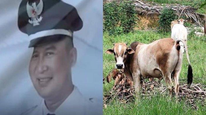 KASUS SAPI KURBAN - (kiri) Edo Saefudin, Kepala Desa Mander, Kecamatan Bandung, Kabupaten Serang, Banten yang viral belum membayar 16 ekor sapi ke pedagangan hewan ternak asal Nusa Tenggara Barat (NTB). (kanan) pedagang sapi ternak NTB.