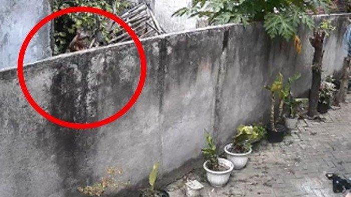 seorang pria melempar batu ke rumah tetangganya terekam CCTV, viral di media sosial