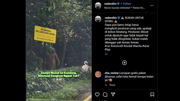 KELUAR MOBIL - Tangkapan layar Instagram yang memperlihatkan pengunjung Taman Safari Indonesia keluar dari mobil di area satwa.