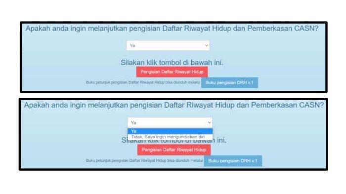 Laman pengisian DRH NI PPPK 2023. cara mengisi drh ni pppk 2023 lengkap dengan tahapan dan dokumen yang harus disiapkan