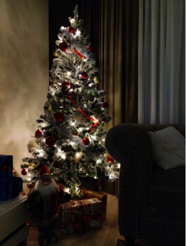 Pohon natal