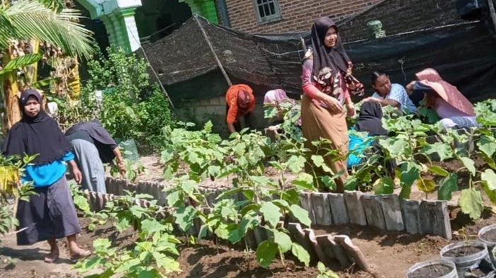 Anggota KWT Ayu Lestari RW 05 Kelurahan Klampok, Kecamatan Sananwetan, Kota Blitar, sedang menanam sayur di lahan pekarangan sekitar permukiman.