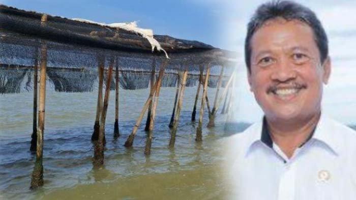 Menteri Kelautan dan Perikanan Sakti Wahyu Trenggono mengancam akan menjatuhkan denda bagi pemasang pagar laut Tangerang.