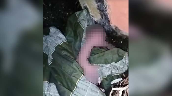 Tangkapan layar video, bayi laki-laki dibungkus sarung berwarna hijau ditemukan di depan Yayasan Pondok Pesantren (Ponpes) Al-Hikmah Gresik, Desa Gadingwatu, Kecamatan Menganti, Kabupaten Gresik, Rabu (23/8/2023).