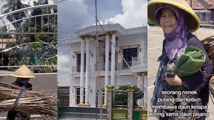 Nenek berbaju lusuh tiap hari gendong daun kering