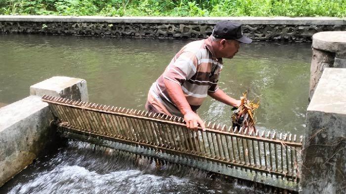 Sucipto membersihkan sampah yang terkumpul di saringan bendungan.